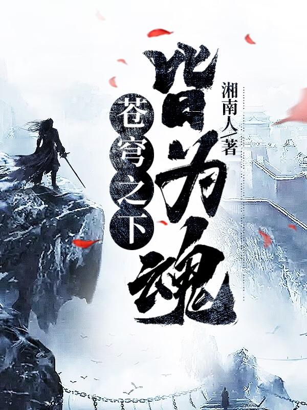 苍穹之下第三季解说